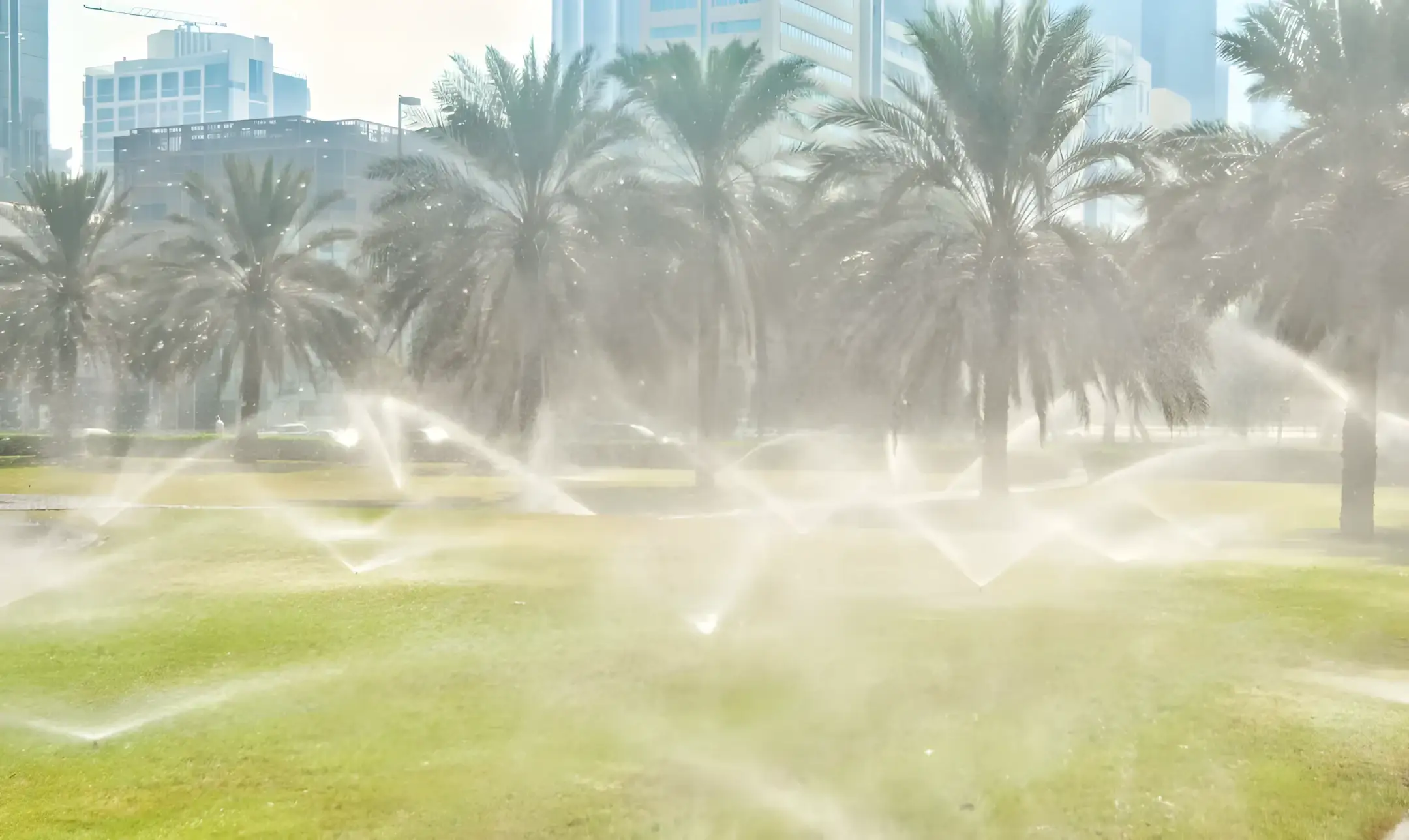 Irrigation sprinklers running near palm trees at a Tampa commercial property