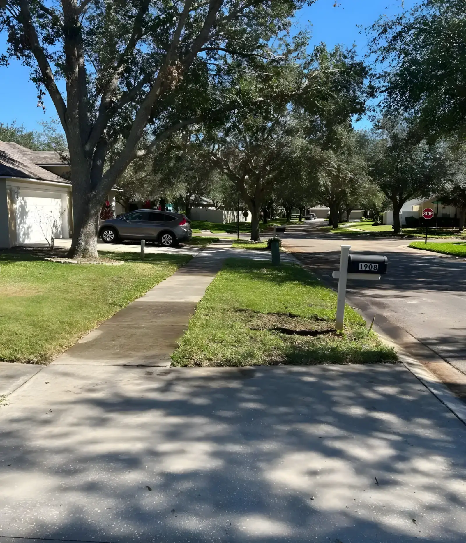 Repaired sidewalk at a Tampa commercial property