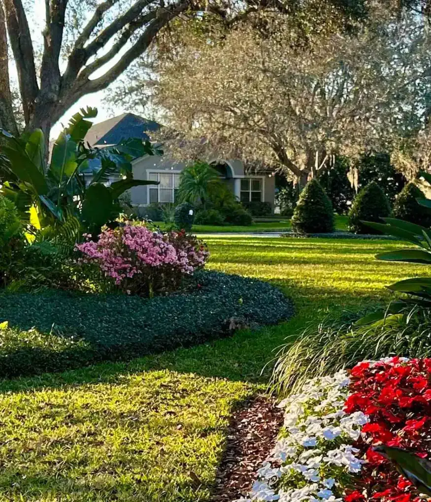Tropical garden beds at a Tampa commercial property