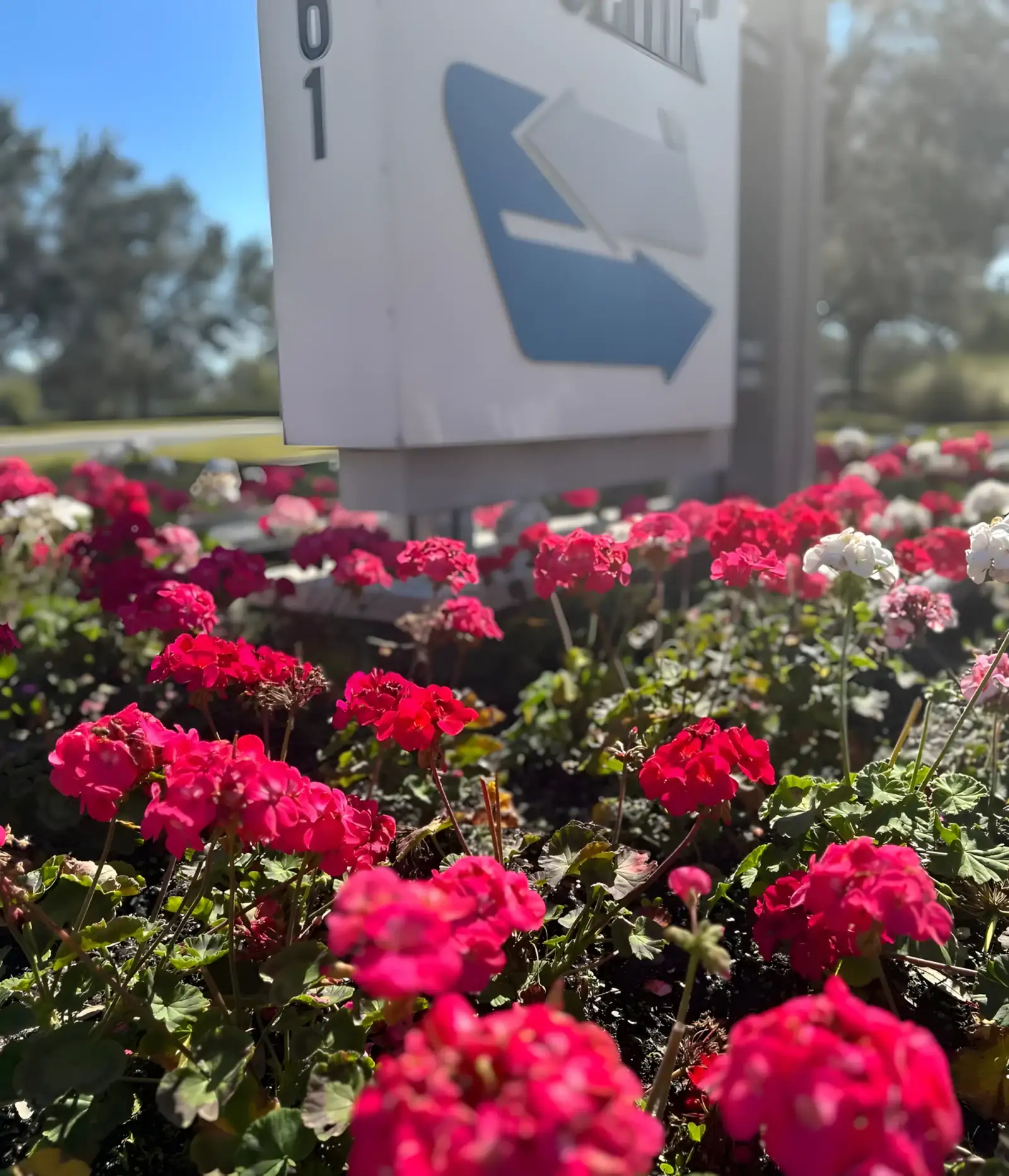Flowers around a corporate monument sign