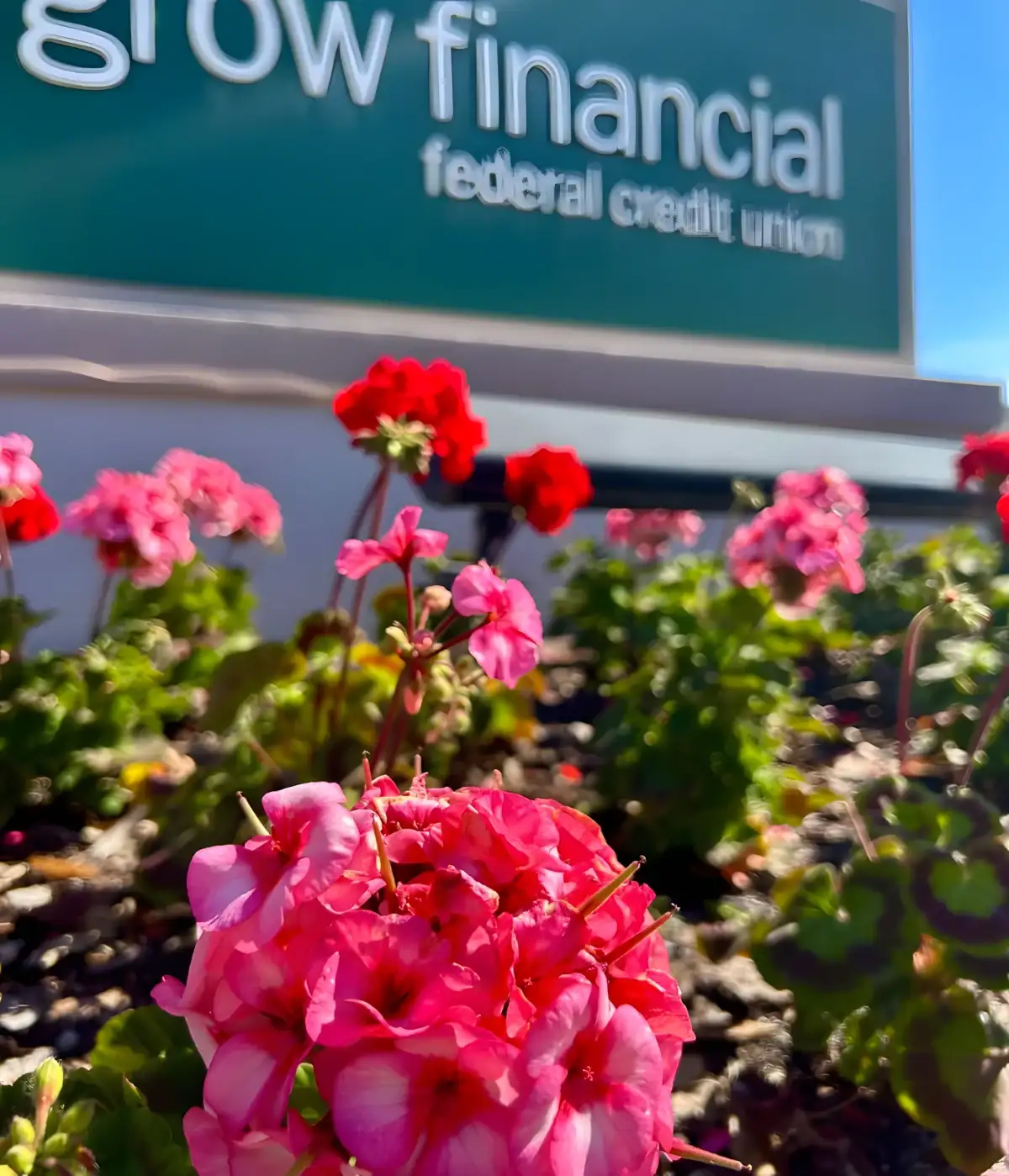 Flower beds at a Tampa credit union