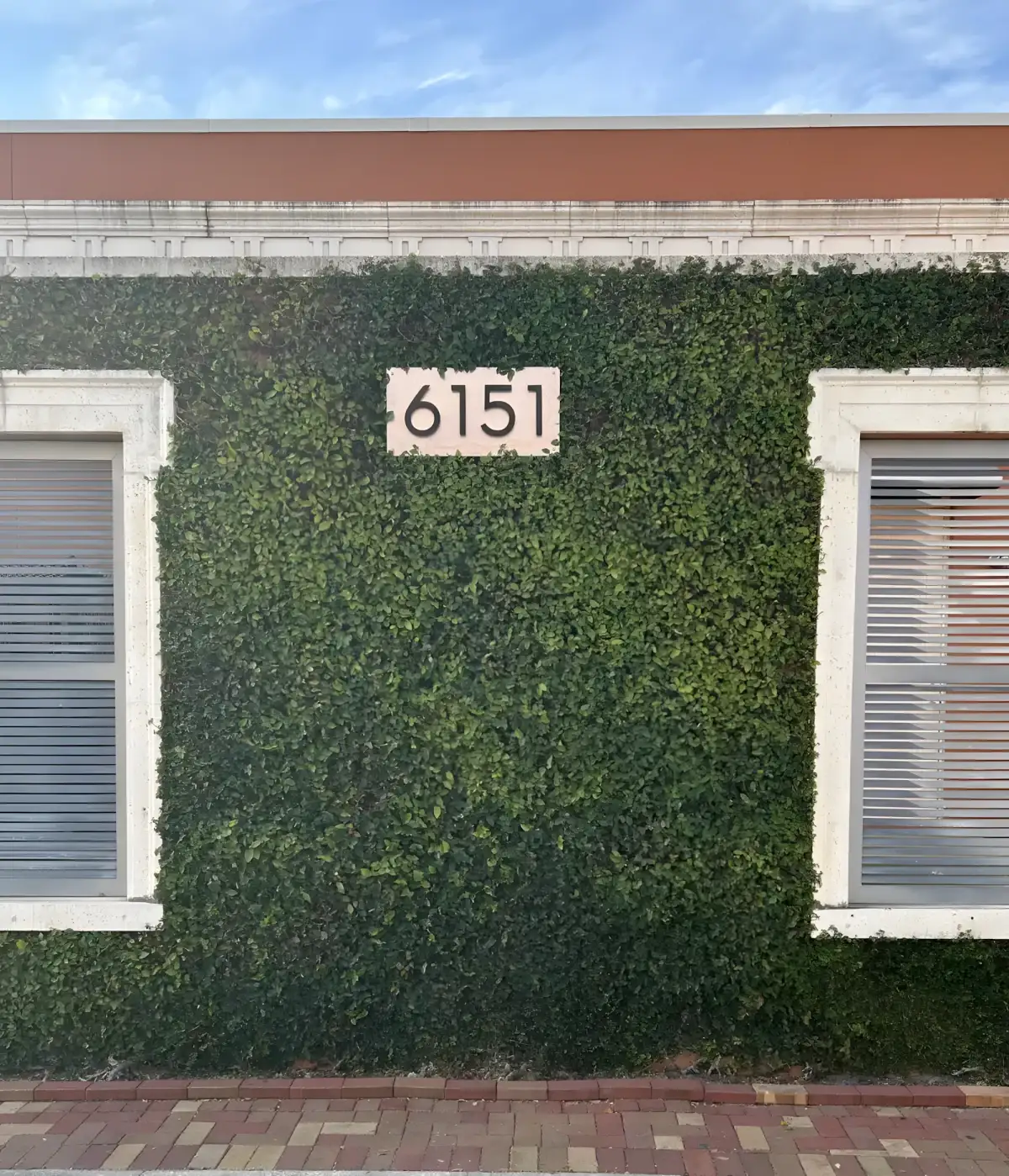 Ivy wall at a commercial property in Tampa