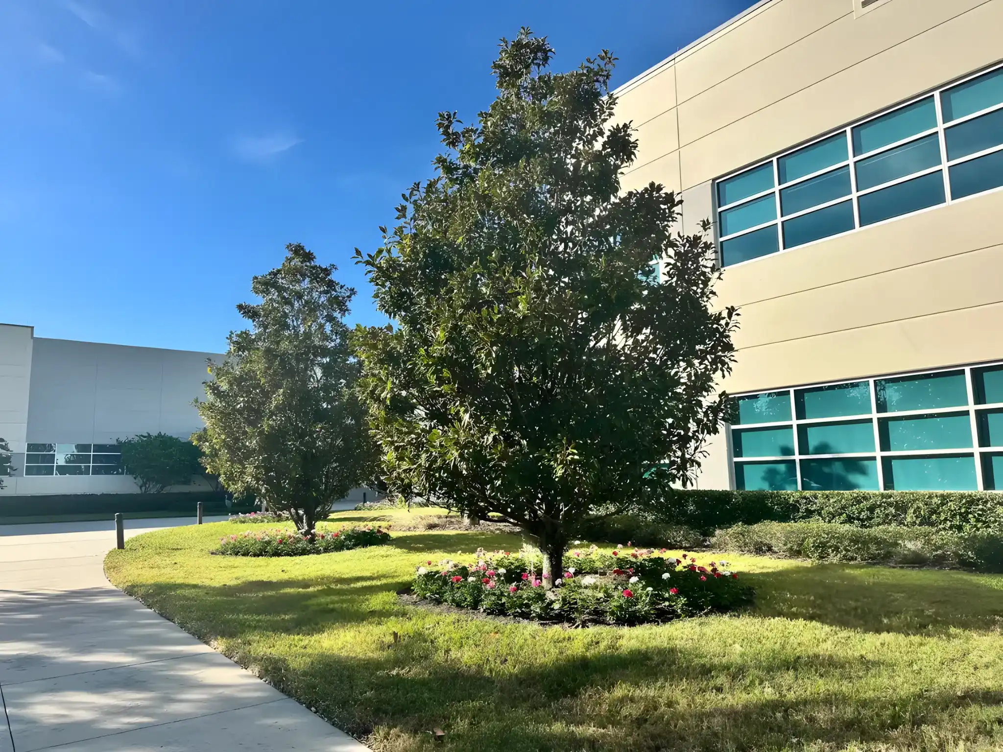 Maintained lawn, trees and flower beds at a Tampa office building