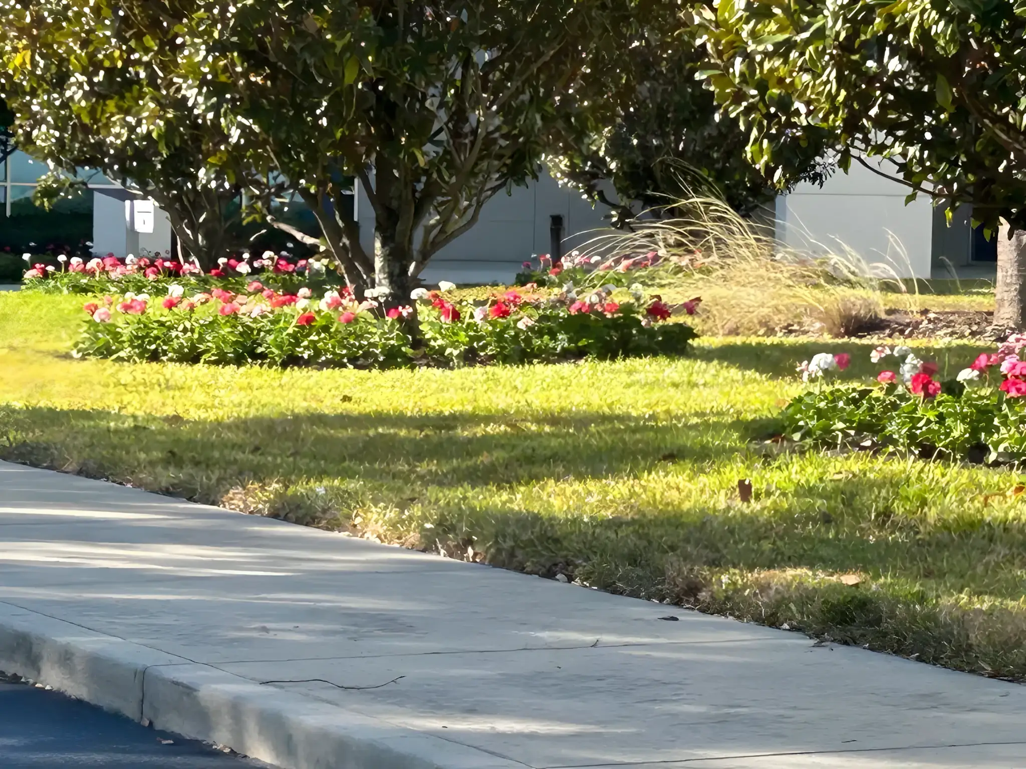 Commercial walkway and lawn care in Brandon, Florida