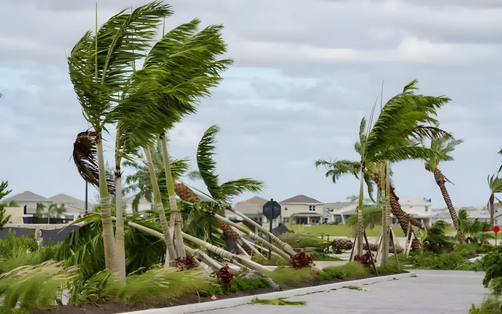 Storm damage recovery work in Tampa