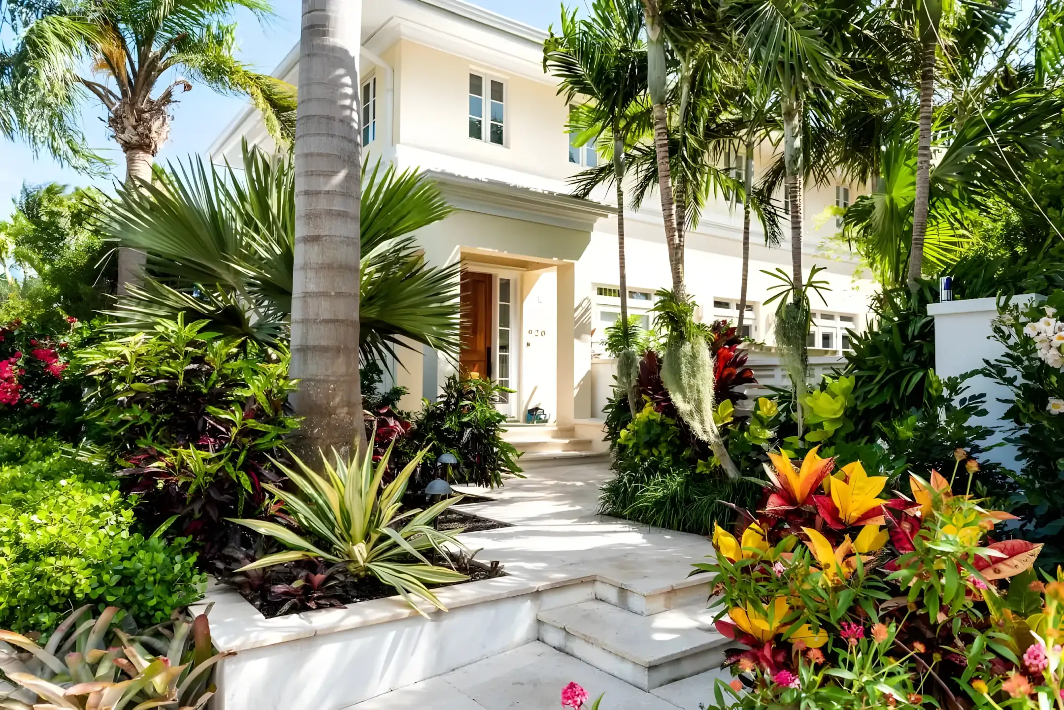 Tropical front yard in Tampa