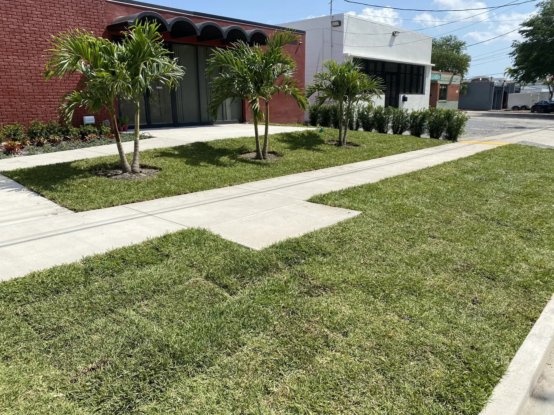 New sod, walkway and palms installed at a Tampa commercial property