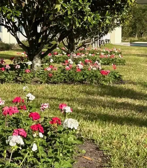 Flower beds at a Tampa commercial property