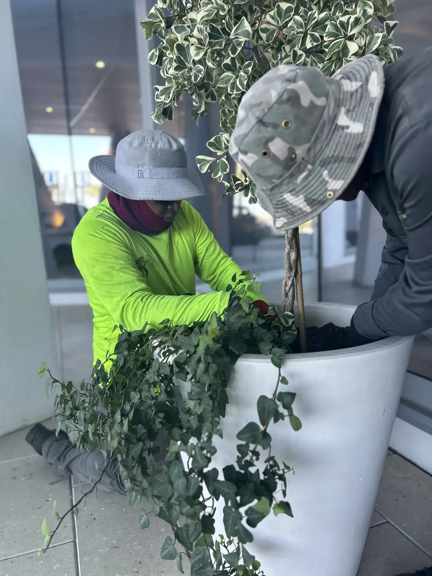 Crew planting a container at a Tampa commercial property