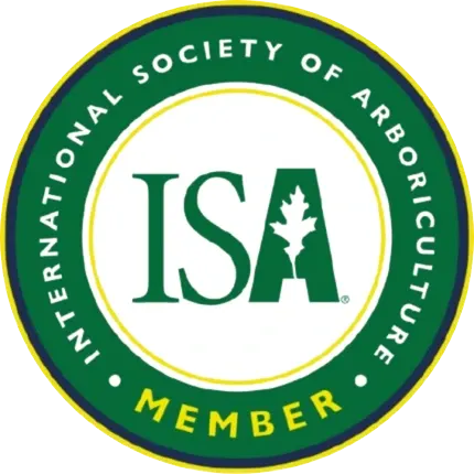 International Society of Arboriculture member