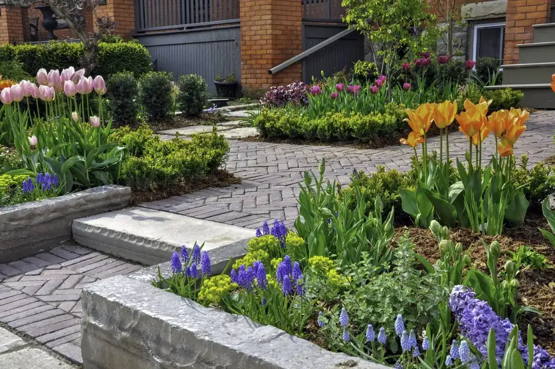 Flower beds along a residential pathway in Tampa