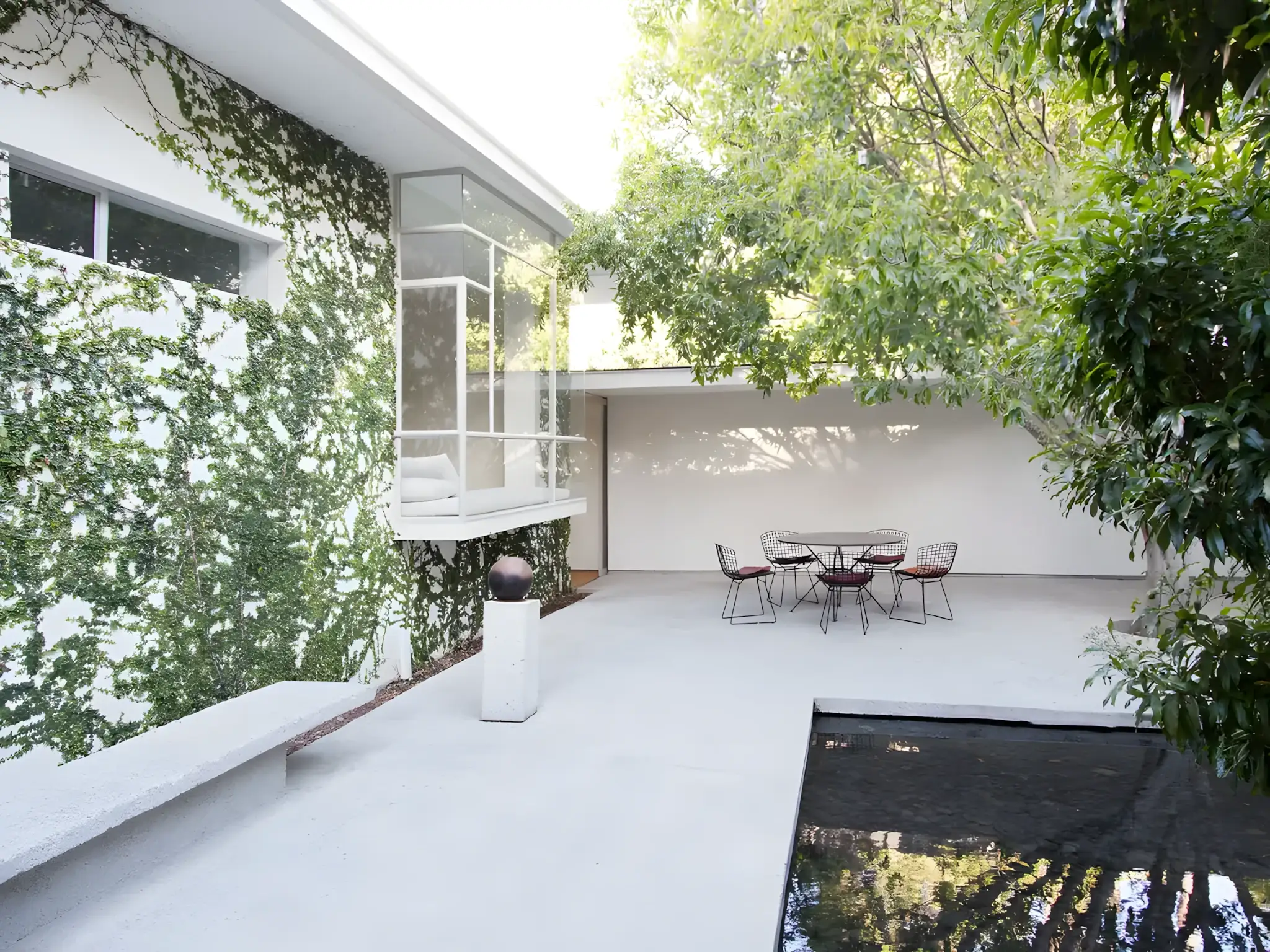 Modern courtyard landscape design in South Tampa