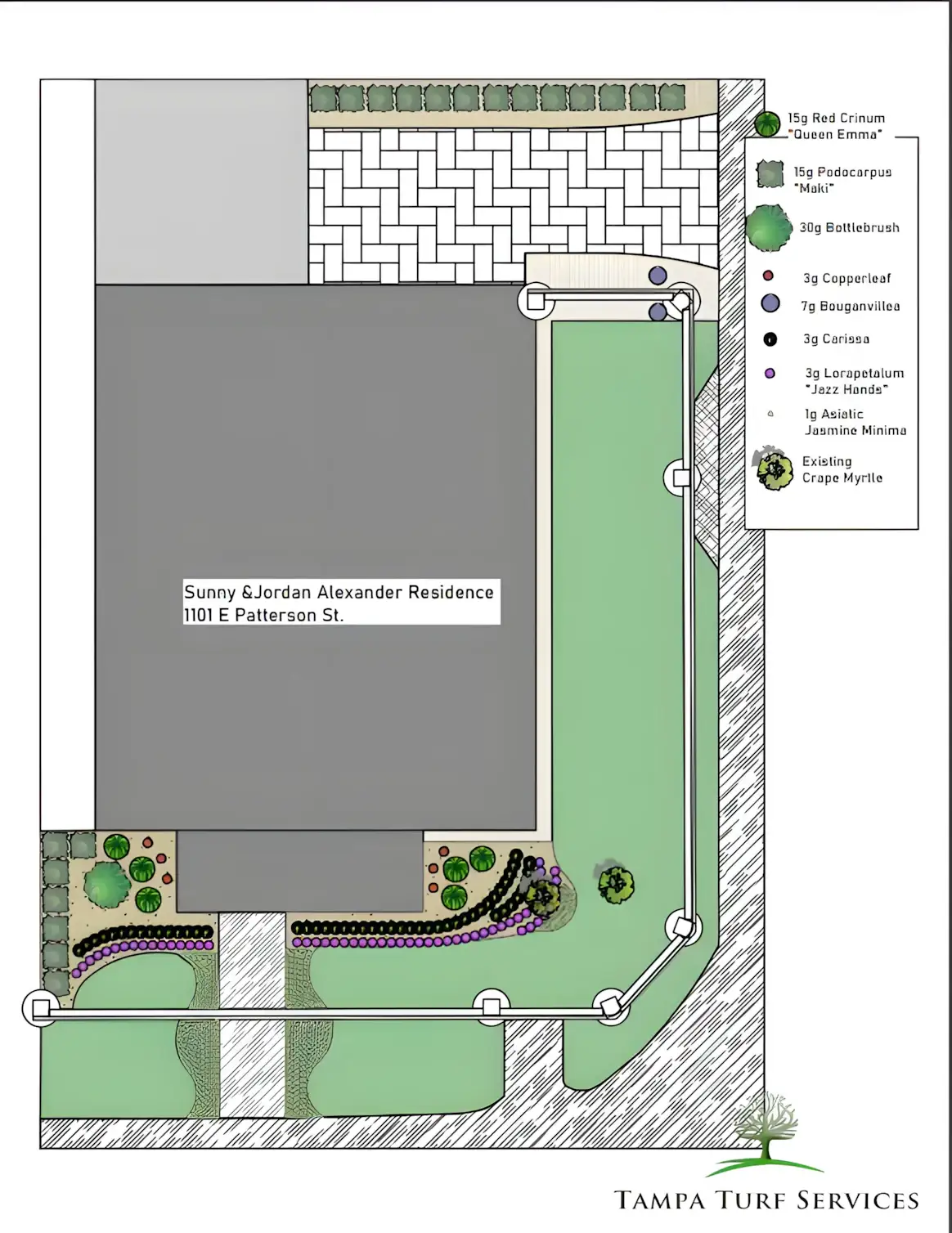 Poolside garden planting at a Tampa home