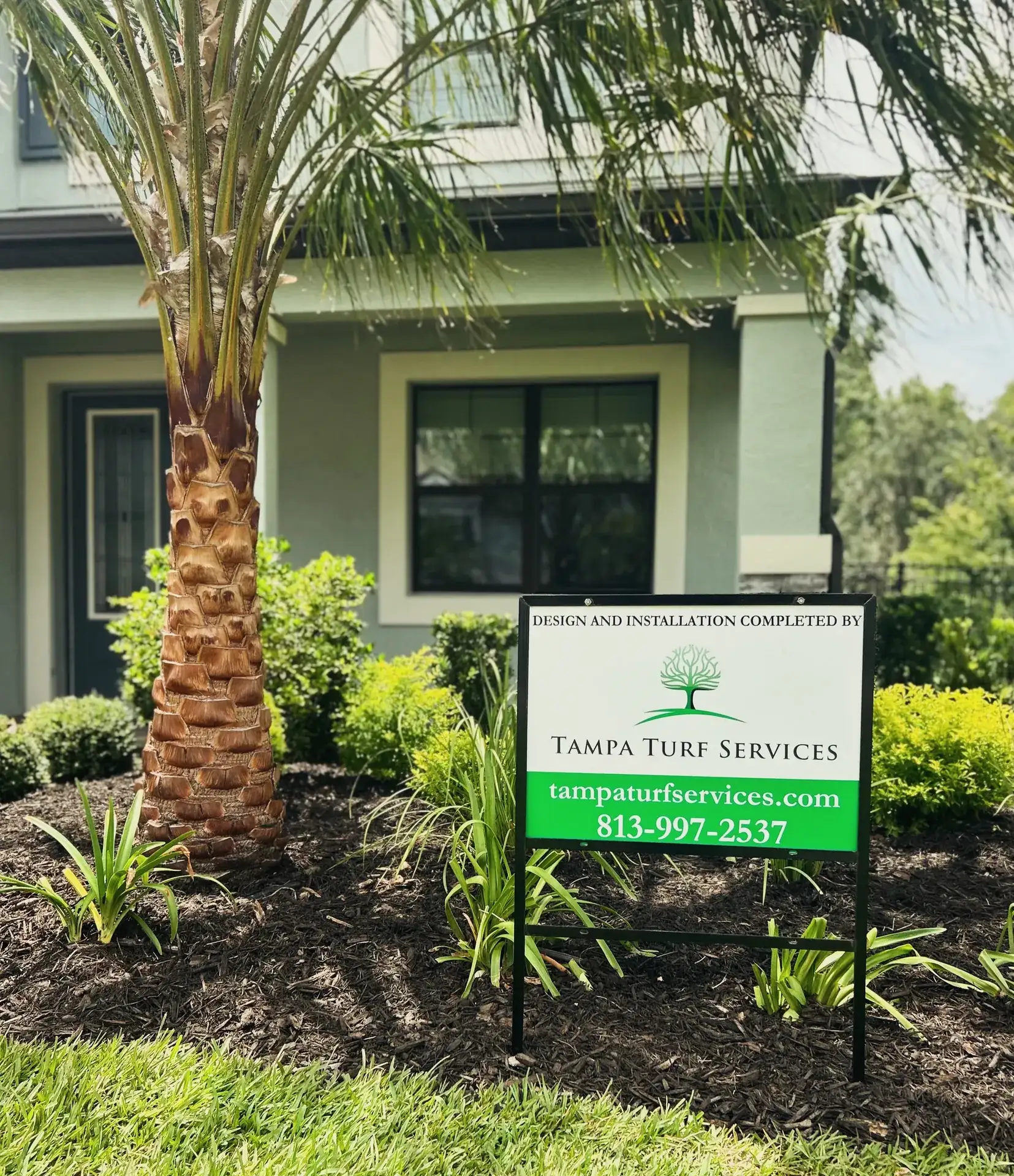 Ribbon palm and bed planting at a Tampa home