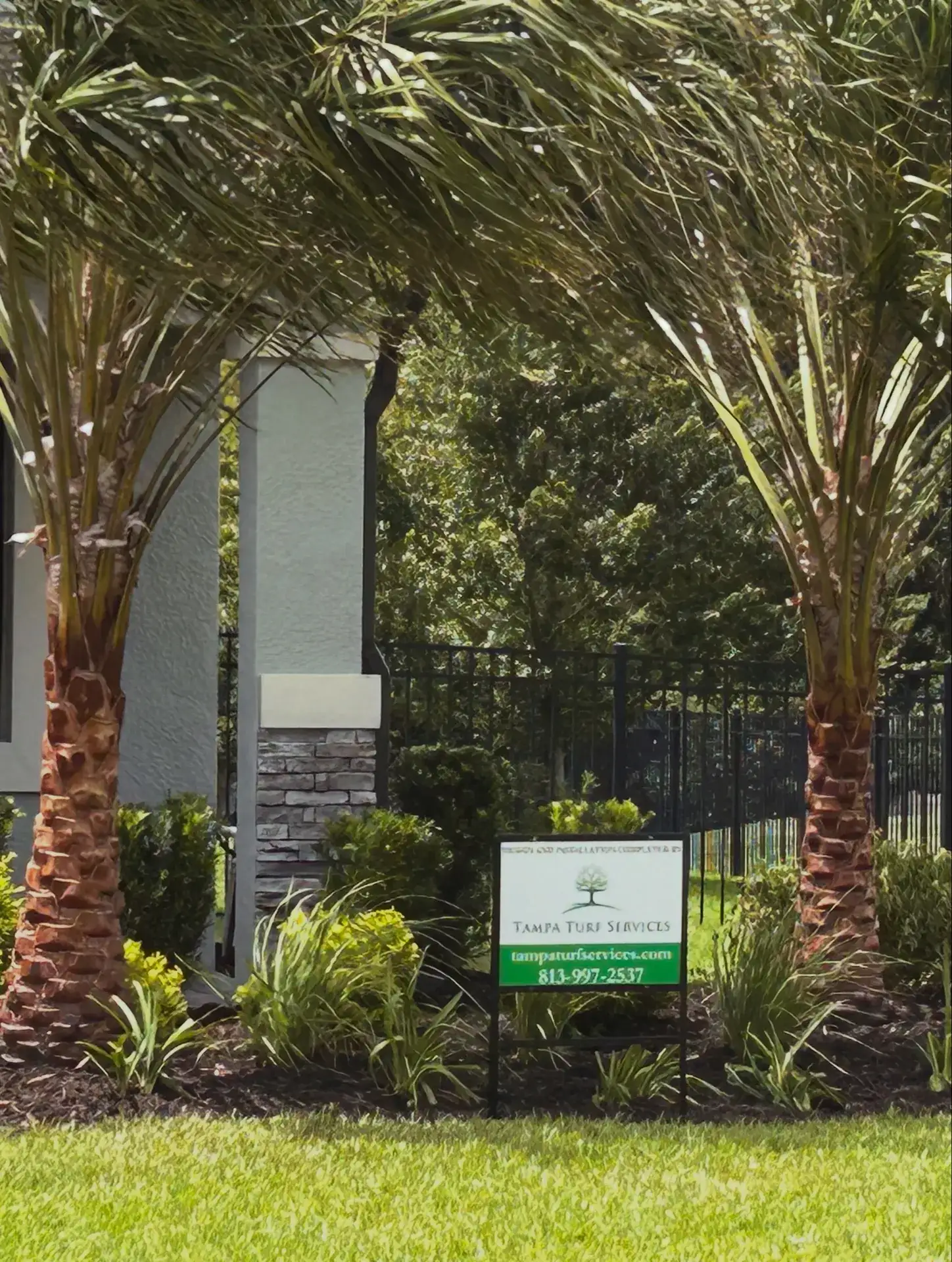 Palm and bed installation at a Tampa home