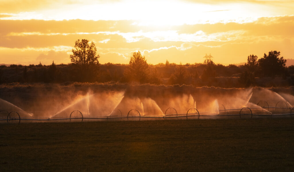 Is Irrigation Important to Your Landscaping? 1 Is Irrigation Important to Your Landscaping?